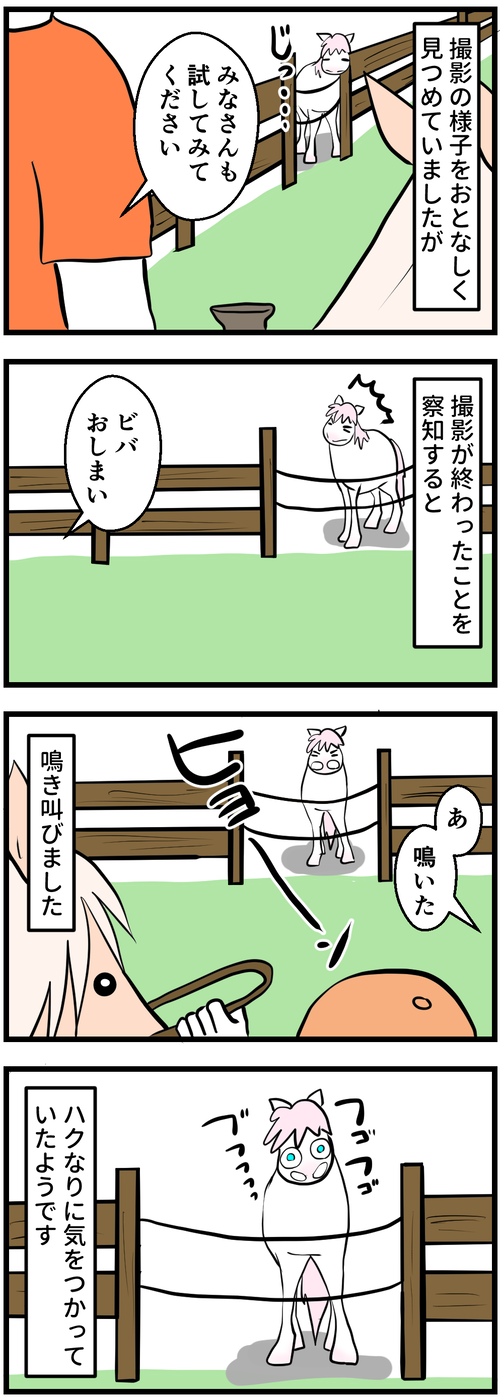 ビデオ撮影の間2