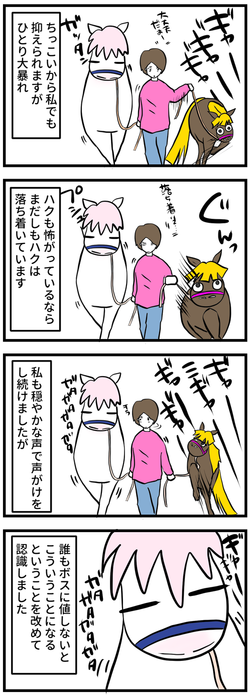 シルビビるハク落ち着いてる2