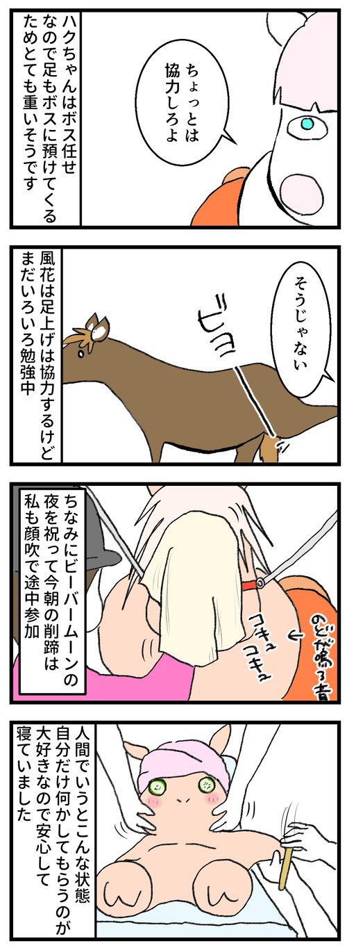 ビーバームーン2