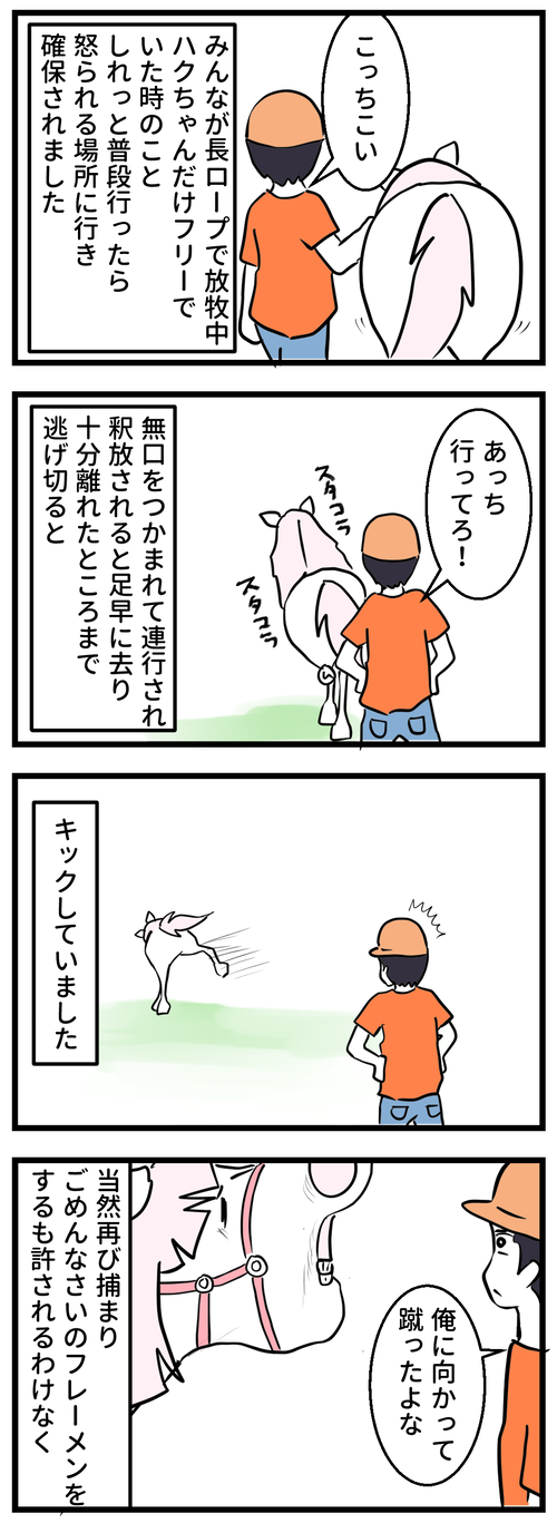 51