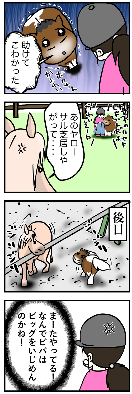 ビバビッグ喧嘩2