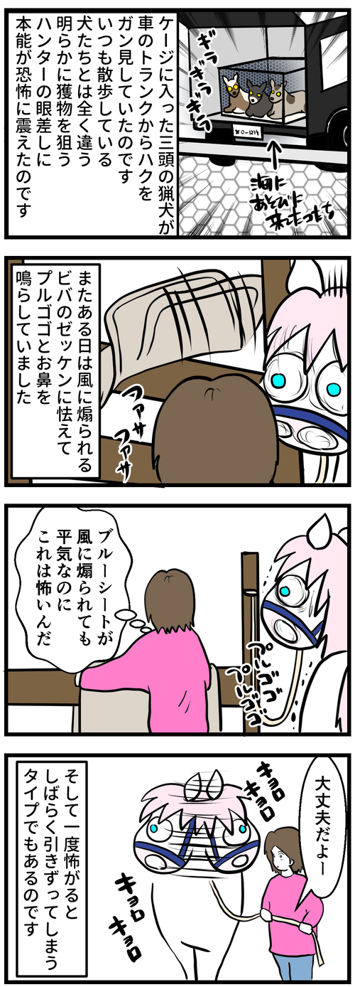 ハクちゃんが怖い物2