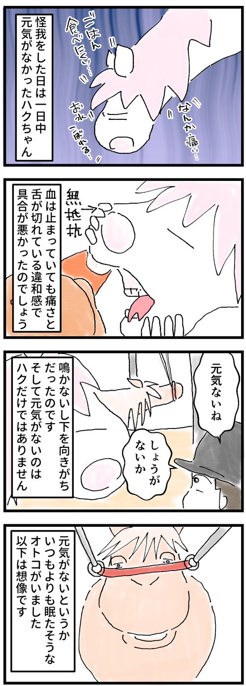 見立て1