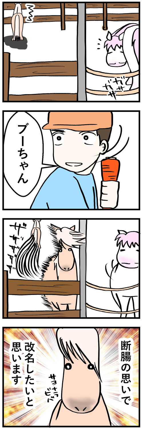 今日からブーちゃん2