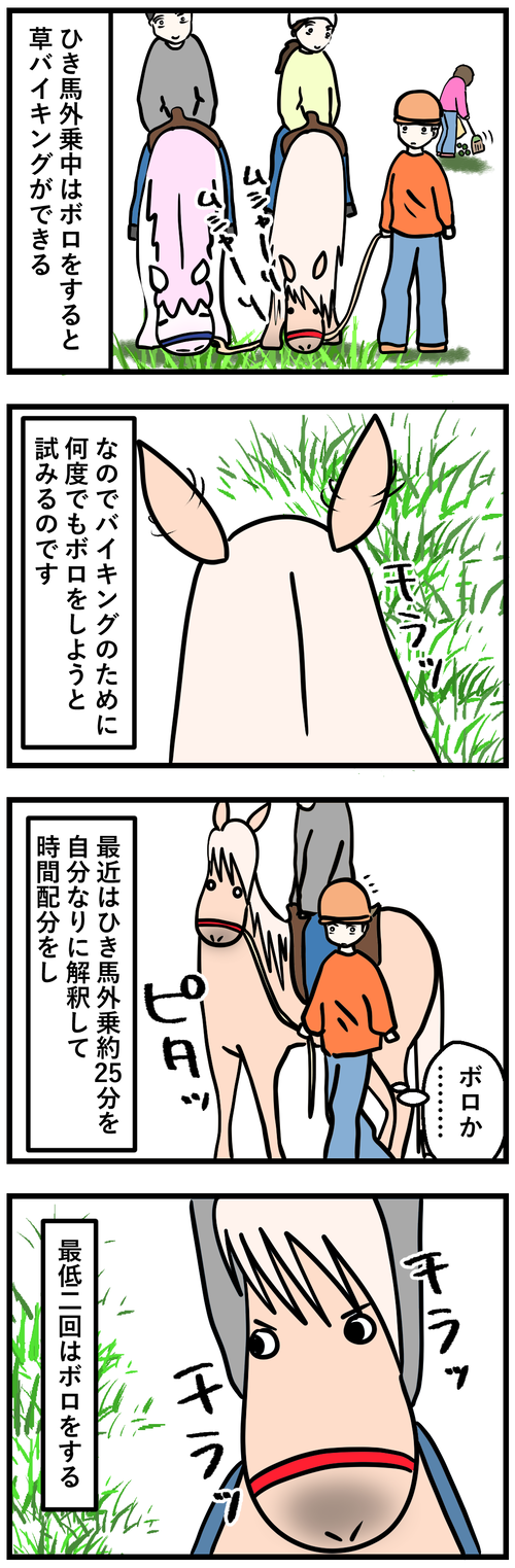 引き馬外乗でのボロ1