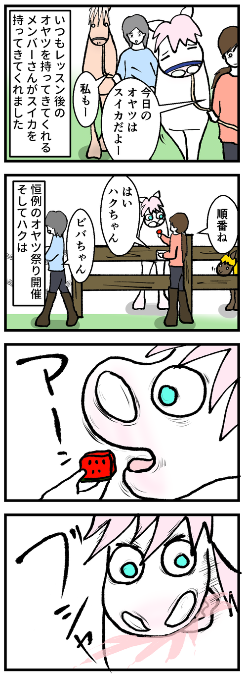 スイカジュース1