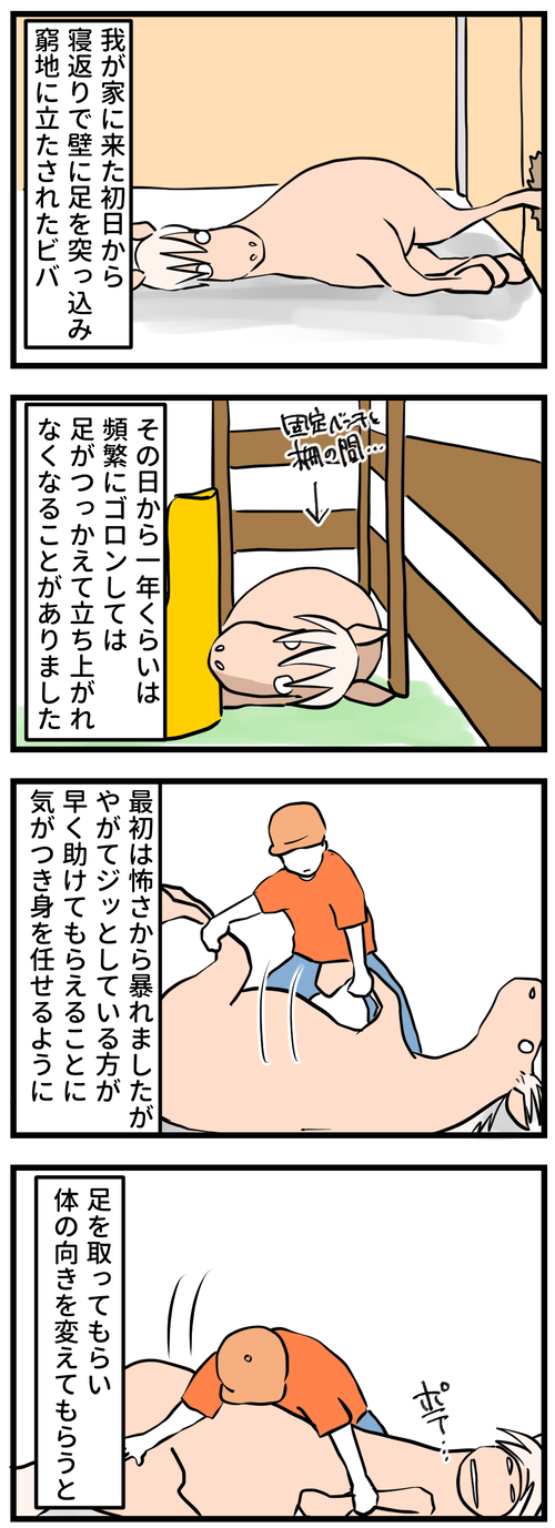 291