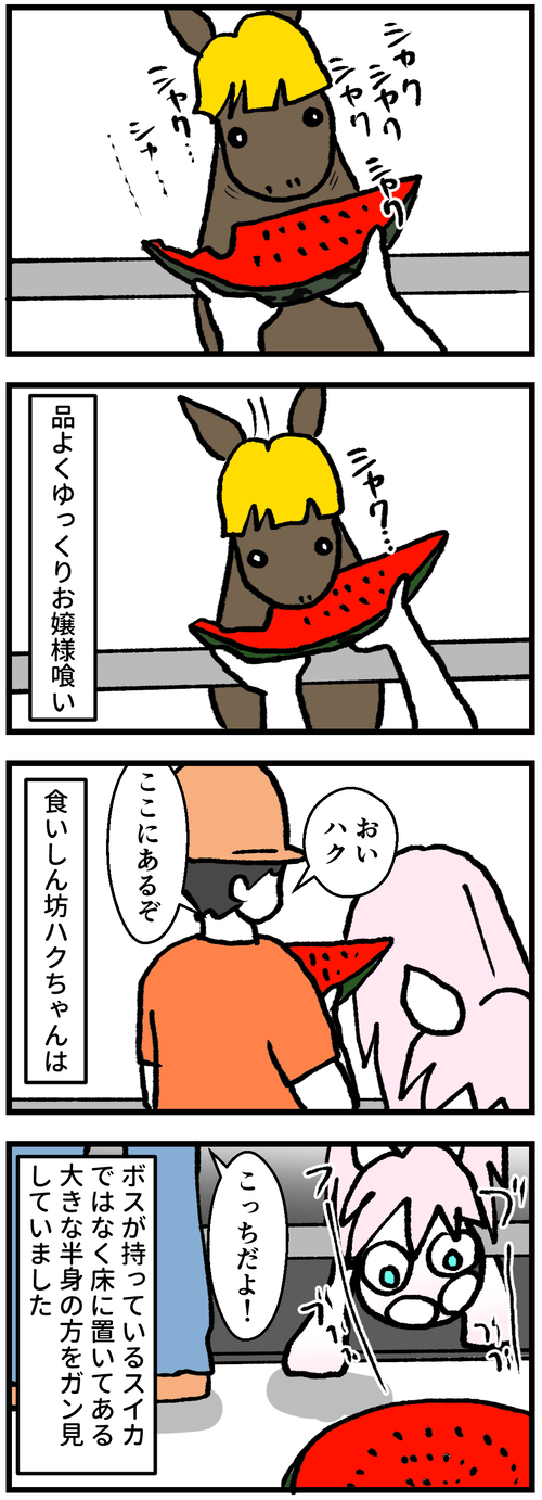 入善ジャンボ西瓜2