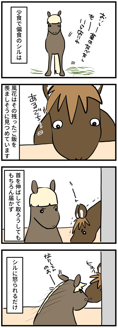 51