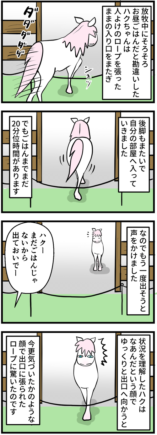 どうやって入ったの？1