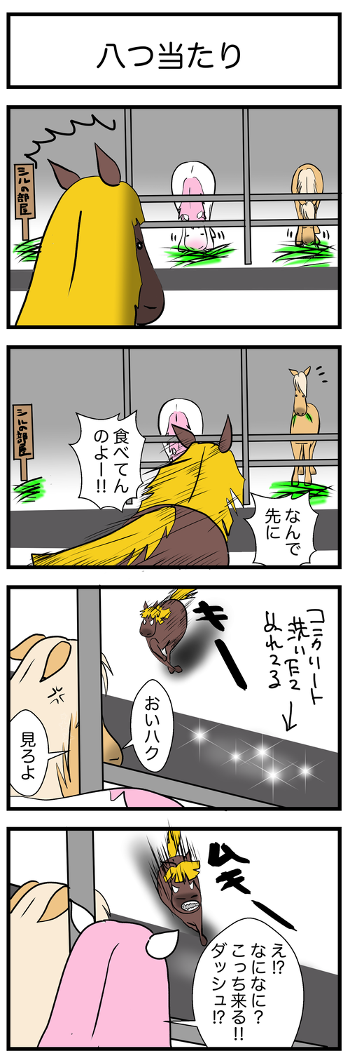 シルコケる1