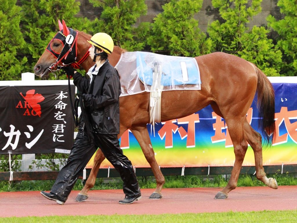 今週の2歳戦 フレッシャーズ倶楽部12登録馬出走結果 うまレター北国定期便 今週の2歳戦 フレッシャーズ倶楽部12登録馬出走結果 うまレター北国定期便