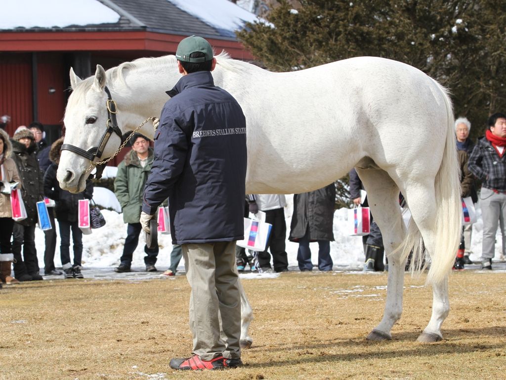 うまレター北国定期便                umaletter