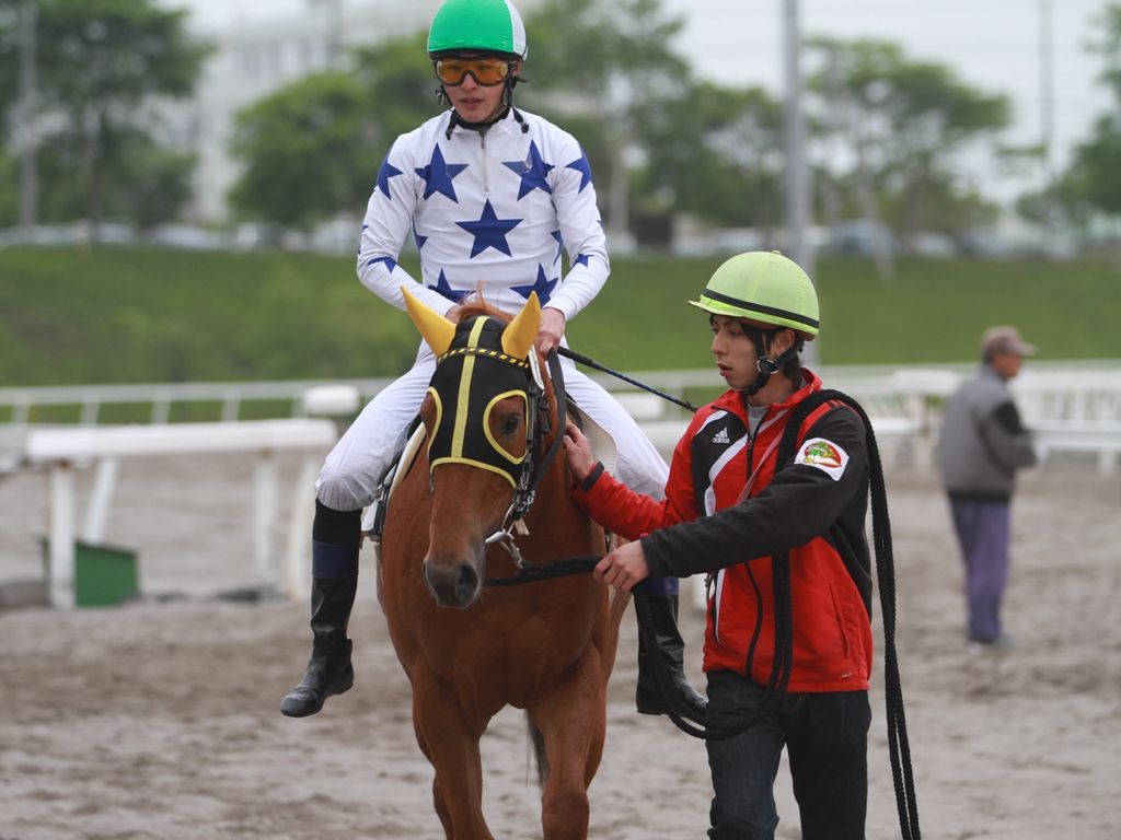 今週の2歳戦 フレッシャーズ倶楽部12登録馬出走結果 うまレター北国定期便 今週の2歳戦 フレッシャーズ倶楽部12登録馬出走結果 うまレター北国定期便
