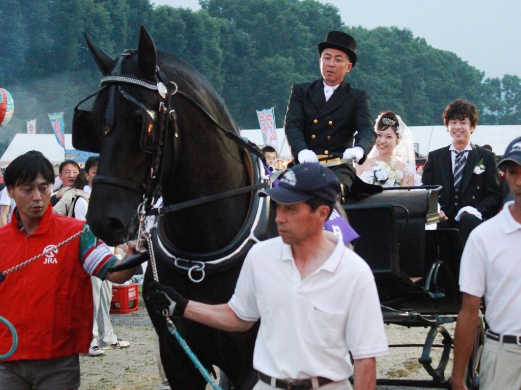 結婚 浦川 d