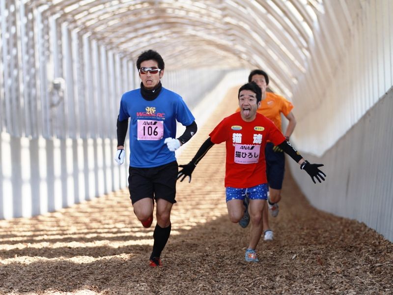 ノーザンホースパークマラソン11 うまレター北国定期便