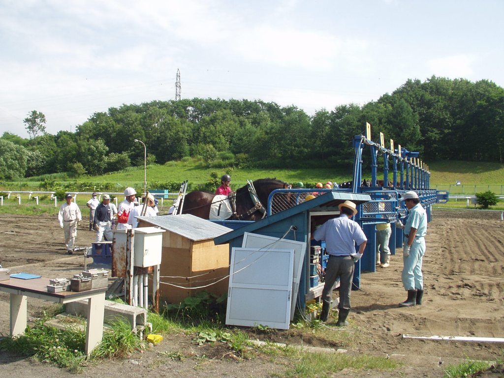 うまレター北国定期便 うまレター北国定期便