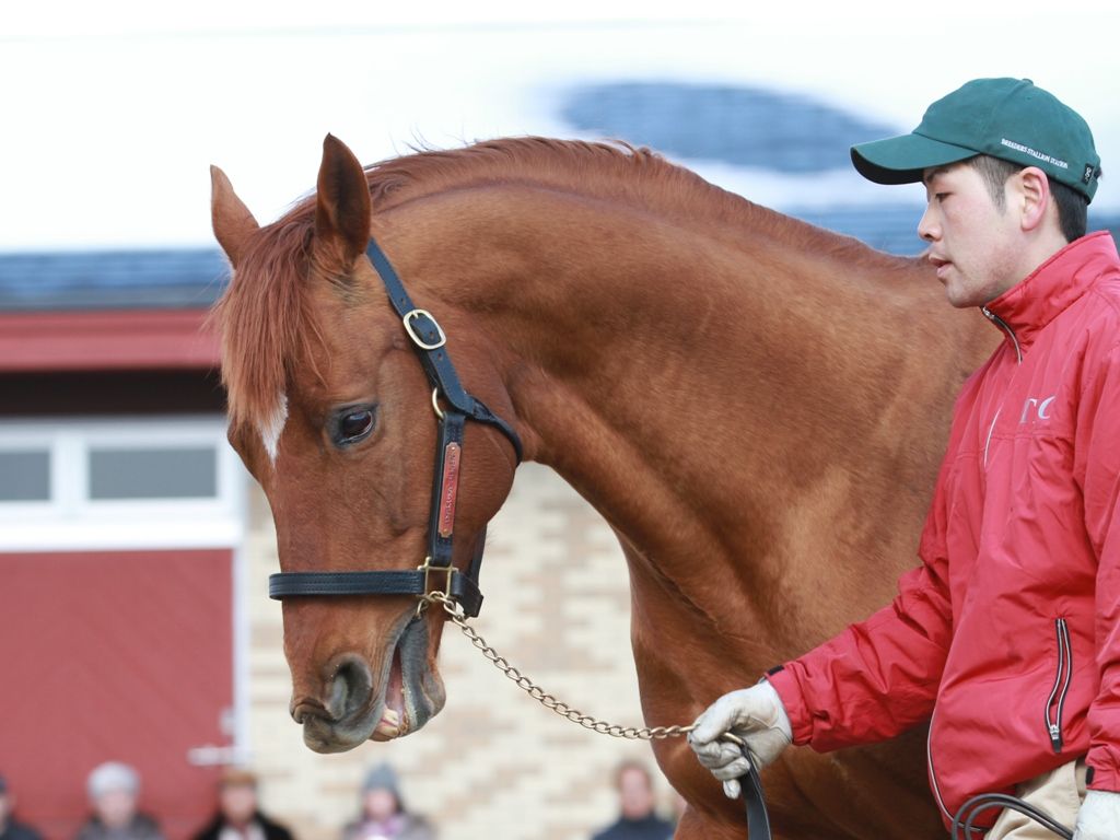 追悼 後藤 浩輝 騎手 : うまレター北国定期便