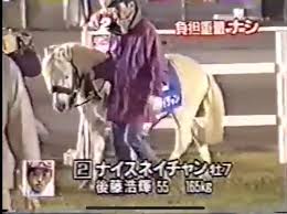 ウマ娘で競馬に興味を持った層はハルウララぐらいしか知らなかったの ナリタブライアンが有名な裏にはとある番組が影響している うまむす速報 ウマ娘まとめブログ ウマ娘で競馬に興味を持った層はハルウララぐらいしか知らなかったの ナリタブライアンが有名な裏にはとある番組が影響している うまむす速報 ウマ娘まとめブログ