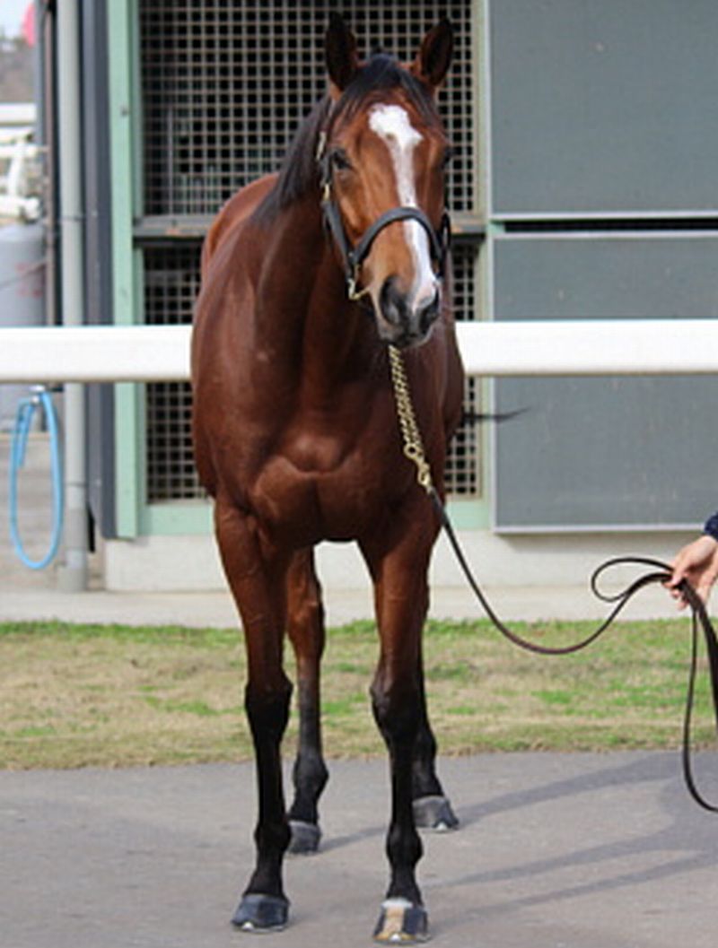 シングシングシング 191211