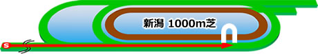 ngt_s1000