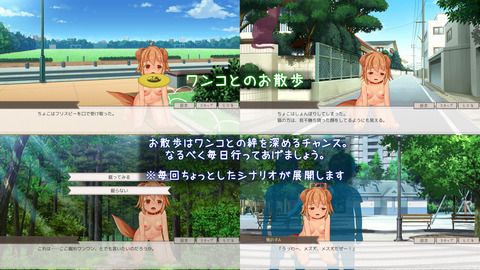 サンプル画像No5