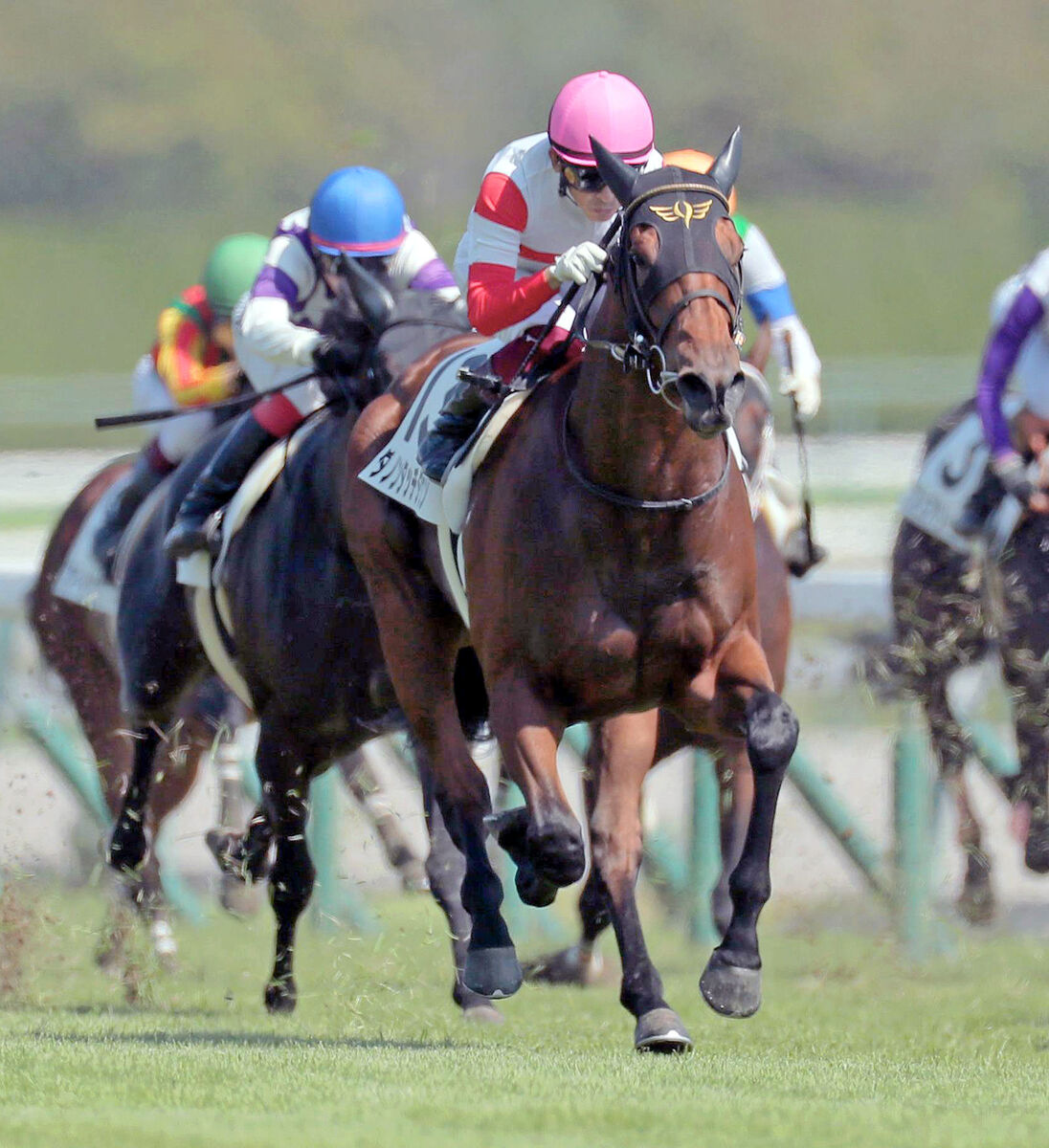 うまのハコブネ 競馬情報まとめch川田優雅騎手、皐月はダノンタッチダウンで参戦確定コメントする