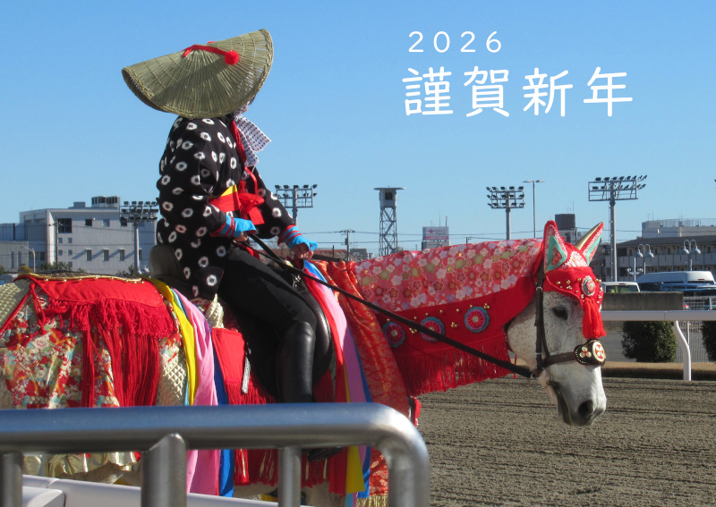 川崎スタート : 馬に蹴られた日もあれば