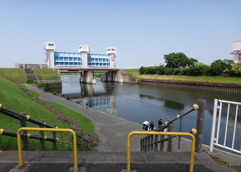 芝川水門のゴロゴロ 馬に蹴られた日もあれば