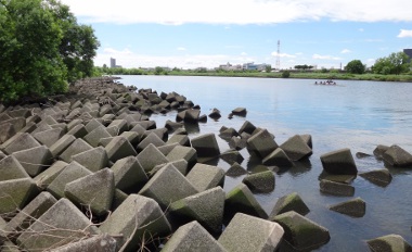 荒川 テナガエビ 馬に蹴られた日もあれば