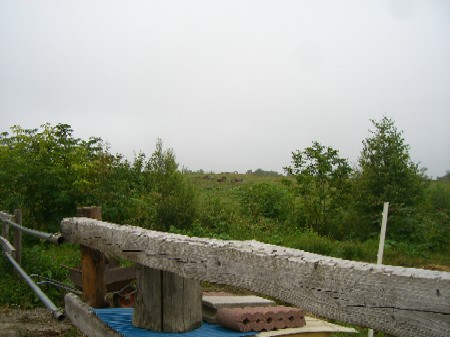 20070830202157.jpg