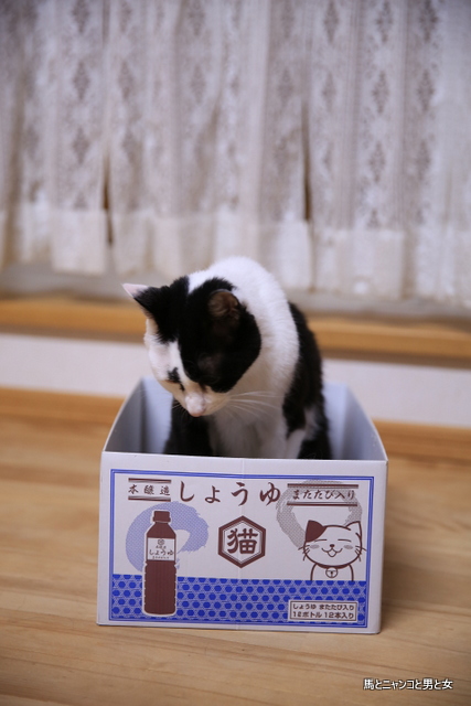 6R3A1325.jpg