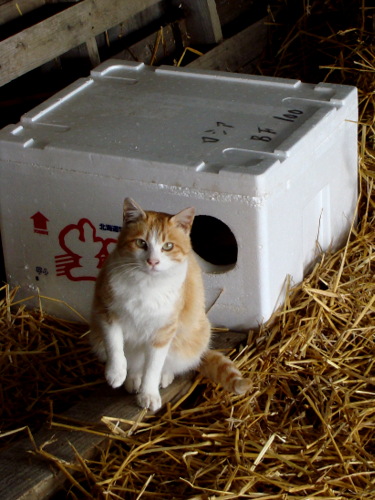 DSC07496.jpg