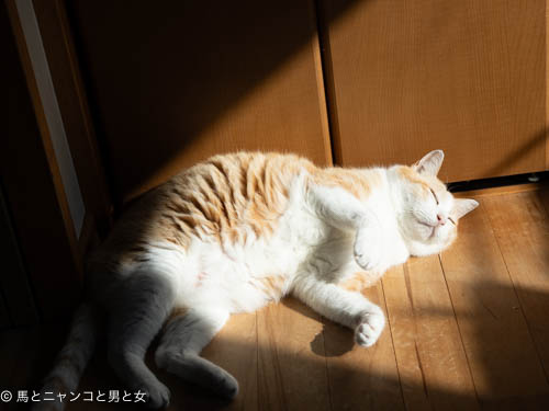 DSC08852
