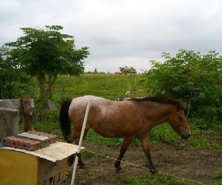 20070806230102.jpg