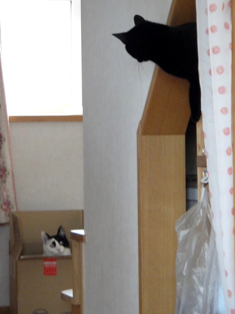 DSC04722.jpg