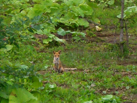 20070717232316.jpg