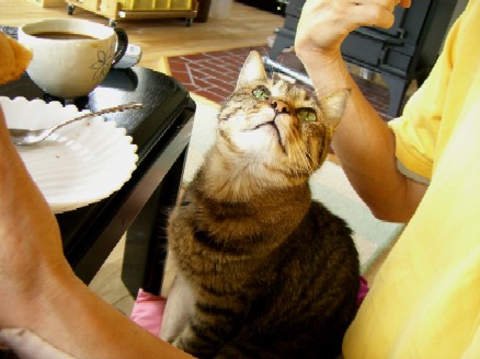 20070722185054.jpg