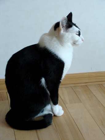 画像 103