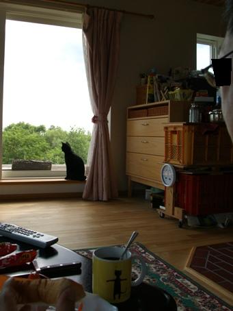 DSC09336.jpg