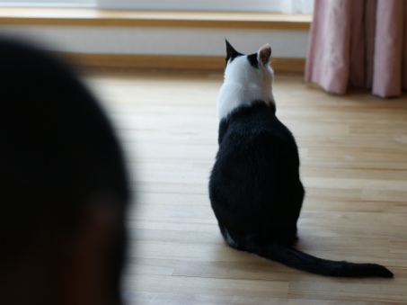 画像 003