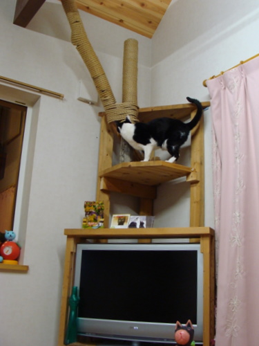 DSC07398.jpg