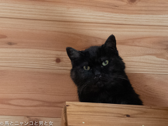 DSC07706