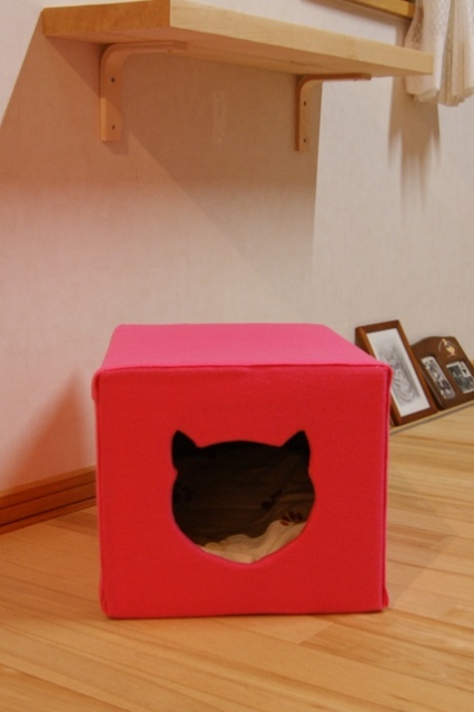 画像 005