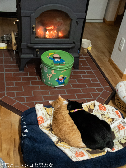 DSC08021