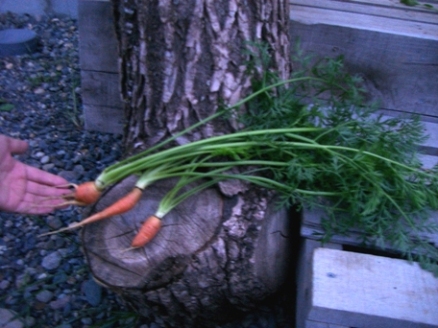 20070908232621.jpg