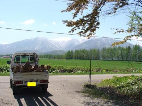 1eb94bb1.jpg