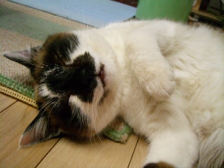 20070915231506.jpg