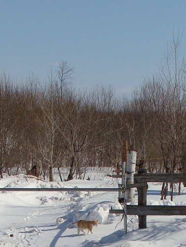 DSC07574.jpg