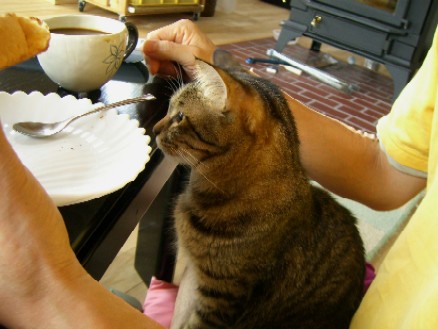 20070722185032.jpg